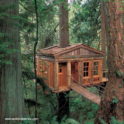 Casarbol, un nuevo concepto de turismo y vida en los árboles