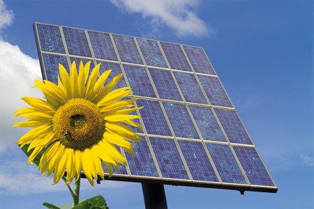 energías renovables, cultivarsalud