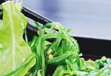 9 Tipos de algas y sus beneficios tipos de algas