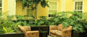 PlantasCasa