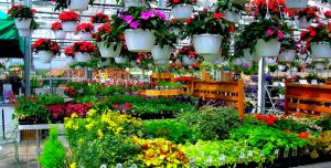 garden-center1