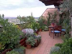 tn_terraza