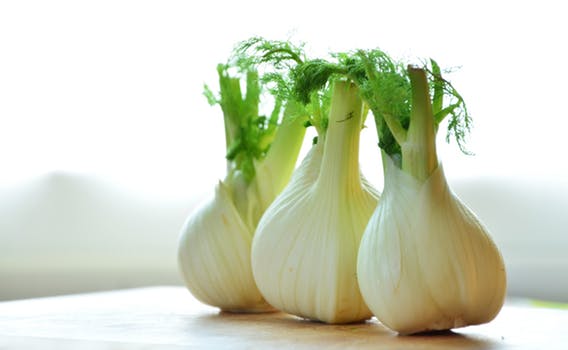 fennel-vegetables-fennel-bulb-food-159471 Beneficios del hinojo