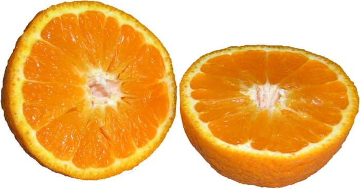 Mandarinas