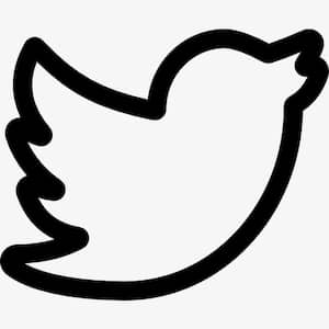 twitter_icon