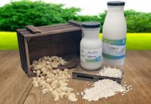4 Propiedades del anacardo para tu salud propiedades del anacardo monvital