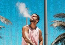Yamnaya, los mejores vapeadores CBD naturales. los mejores vapeadores CBD naturales