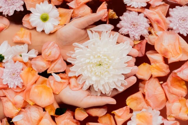 ¿Para qué se utilizan las flores de Bach en la medicina? flores de bach