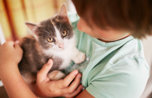 niño pequeño tiene gatito blanco y negro en su hombro